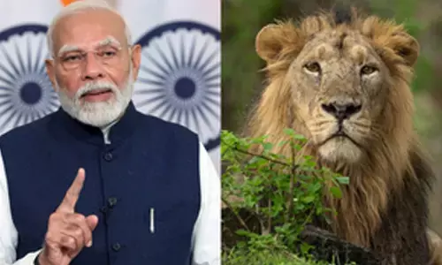 India and International Big Cat Alliance sign headquarters agreement