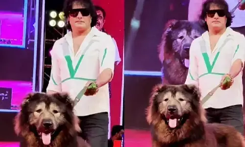 Bengaluru Man Lied About Owning ₹50 Crore Wolf-Dog
