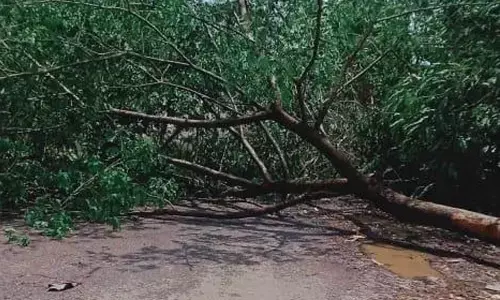 Thunderstorm hits coastal Odisha