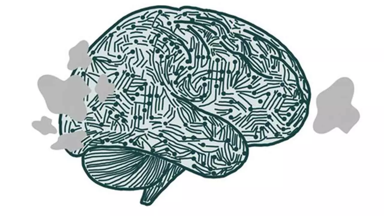 New study on brain’s visual regions can help build effective AI systems New study on brain’s visual regions can help build effective AI systems