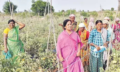 MLA spends time with farm workers