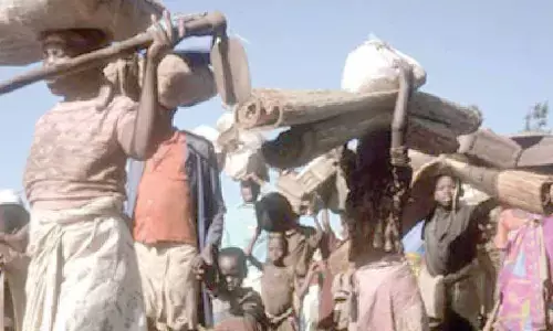 Migration of farmers has affected agriculture: CM