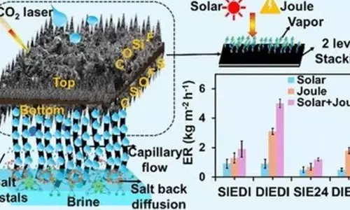 IIT Bombay scientists develop lotus leaf-like solar evaporators for saltwater treatment