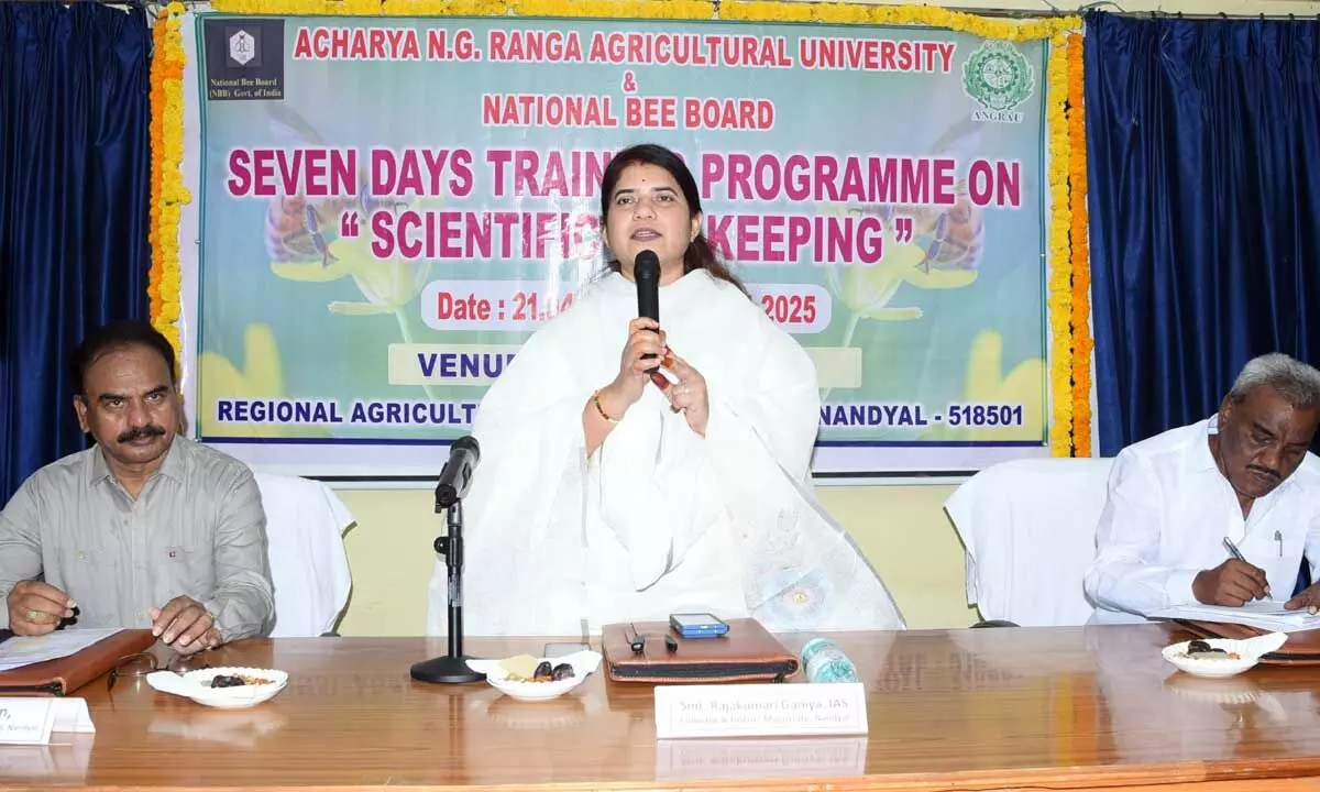 Awareness on forest produce must be enhanced Awareness on forest produce must be enhanced