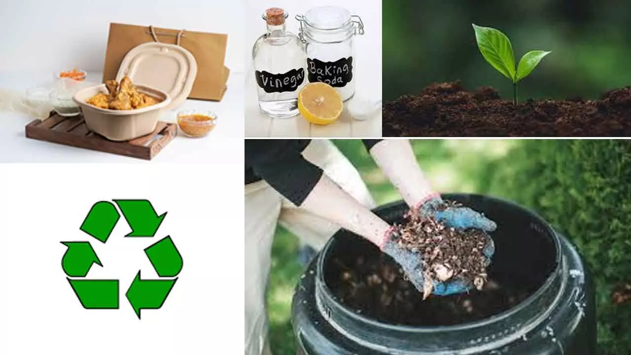 Everyday Habits to Practice Sustainability Beyond Earth Day