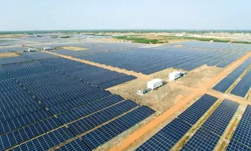 World Earth Day: Greens call for need to make renewable energy a way of life