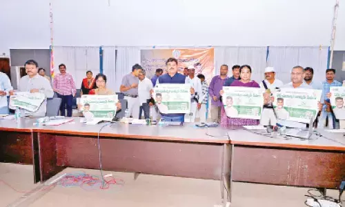 Use WhatsApp governance services: Collector Basha