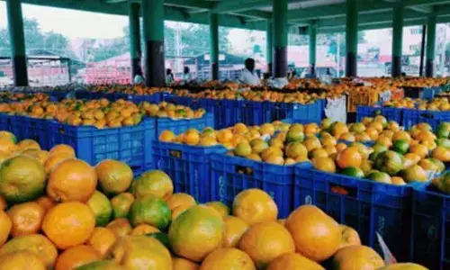 Govt to crack whip on calcium carbide use in fruit ripening