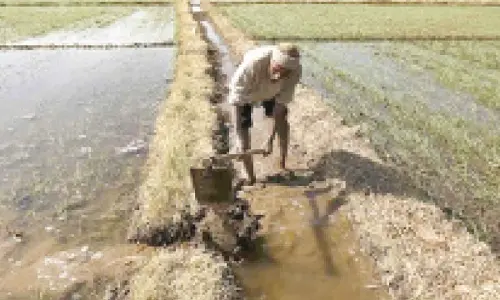 Marathwada farmer suicides rise: 269 in Jan-March 2025
