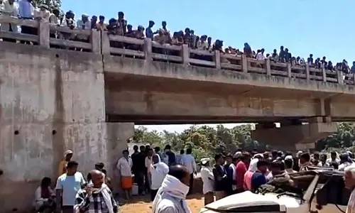 Eight of a family killed as vehicle falls off bridge