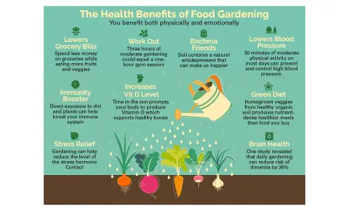 Gardening best bet for one’s all-round development