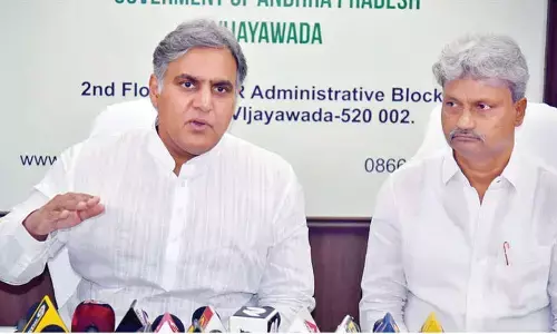 SEEDAP aims at employment opportunities for youth