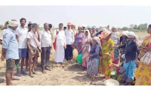 Action sought against those not issuing pay slips