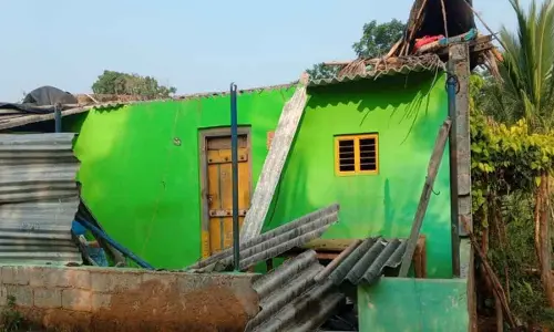 Wild elephant destroys home, crops while inmates go for marriage function