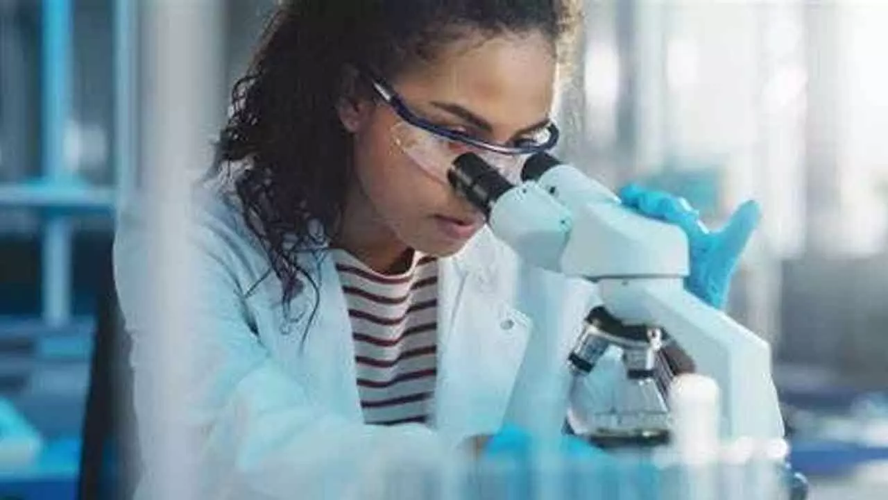 New study on brain’s visual regions can help build effective AI systems