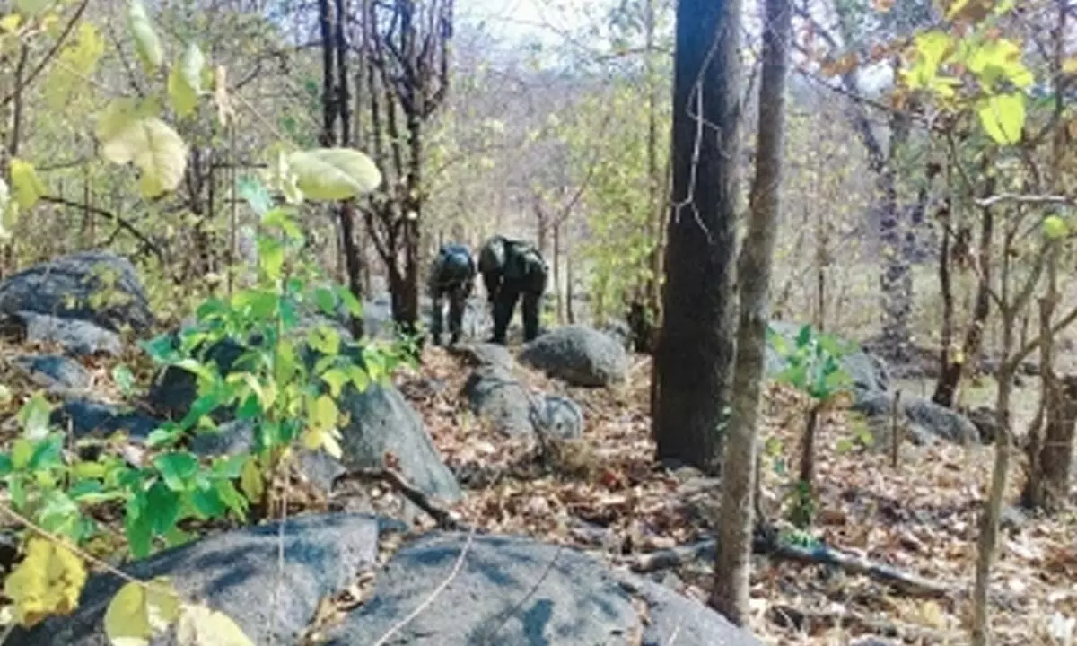 Maoists request security forces for dialogue amid intensified anti-LWE action