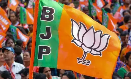 Of BJP, scams and linguistic pride