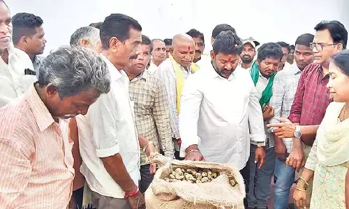 MLA inaugurates cashew procurement centre