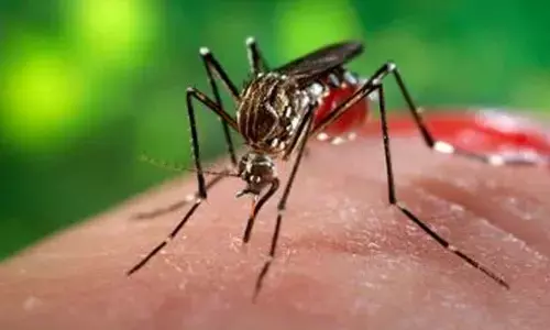 Government continuously working towards malaria-free India: Anupriya Patel