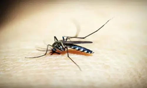 Cambodia on verge of achieving malaria-free goal: PM Hun