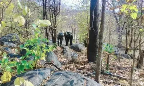 Maoists request security forces for dialogue amid intensified anti-LWE action