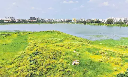 Kapra Lake Revival Group to host sustainability prog soon
