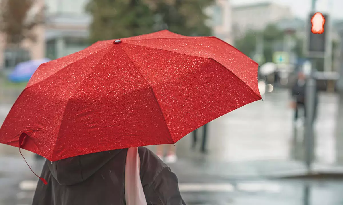 Umbrellas distributed