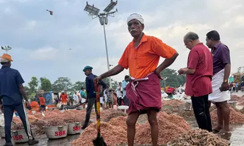 ‘Coastal States Meet 2025’: Fisheries projects worth Rs 255 crore to be unveiled