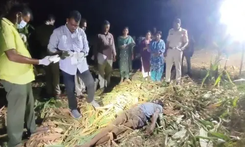 Tragic Incident: Son Murders Parents Over Land Dispute