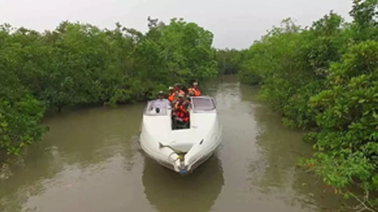 Intelligence network beefed up along Sundarban’s coastal borders amid infiltration fears