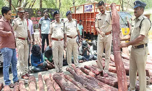 Seven held, Rs 2.5 cr worth of 72 red sanders logs seized