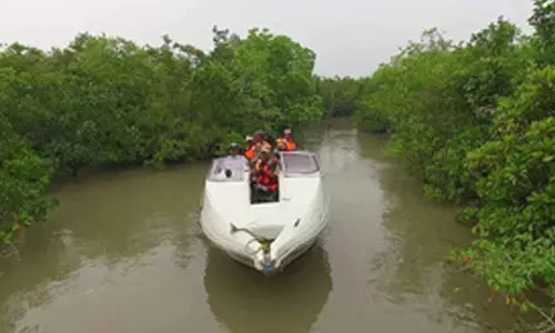 Intelligence network beefed up along Sundarban’s coastal borders amid infiltration fears