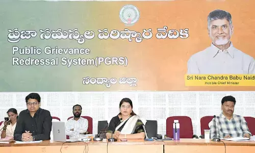 43,021 ‘Golden Families’ identified through P4 survey: Collector