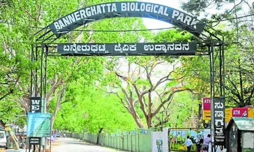 Fake Booking Website Targets Visitors to Bannerghatta Biological Park; Public Warned