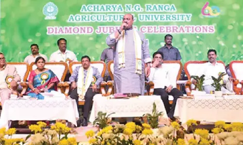 Need for research in agriculture stressed