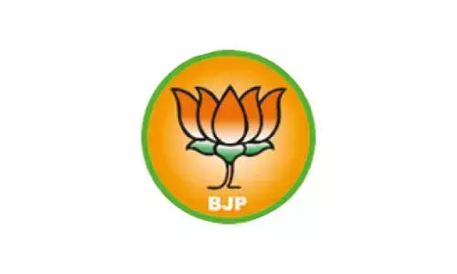 BJP state chief appointment deferred to May