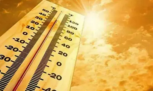 Mercury breaches 46 degree mark in Jaisalmer; Barmer touches 46.4