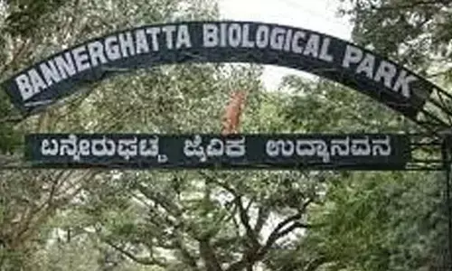 Fake booking website targets visitors to Bannerghatta Biological Park