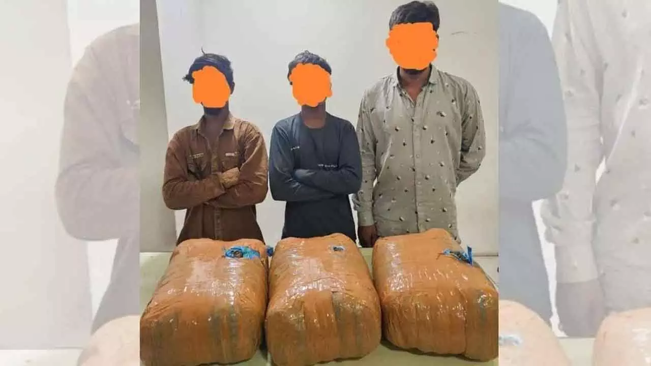 Hyderabad: 3 held with 24 kg ganja in Old City