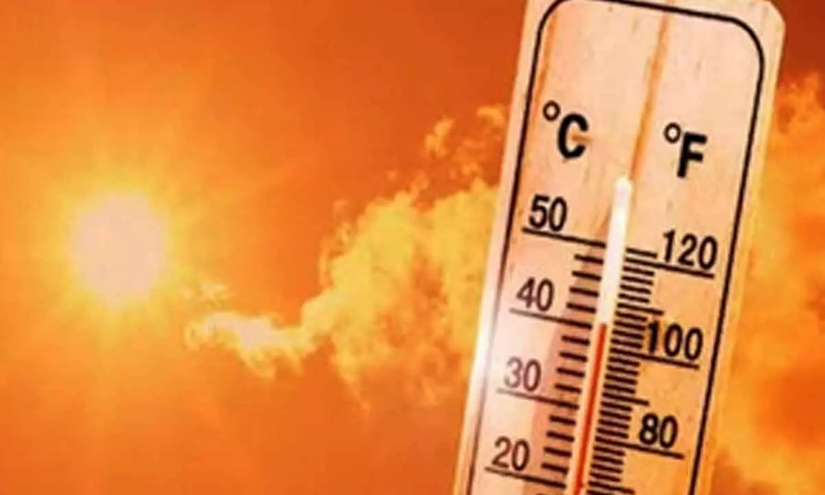 Coastal TN to face intense heat in May, temperatures may rise by 5 degrees Celsius Coastal TN to face intense heat in May, temperatures may rise by 5 degrees Celsius