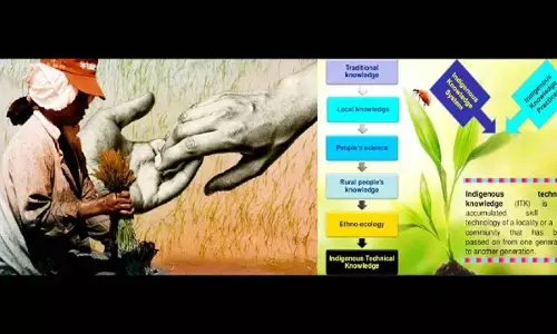 Gardening best bet for one’s all-round development