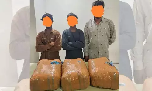 Hyderabad: 3 held with 24 kg ganja in Old City