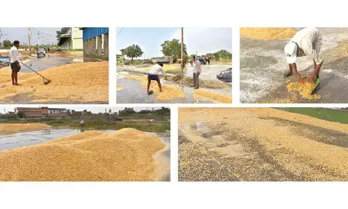 Nagarkurnool: Unseasonal rains cause heavy losses to farmers
