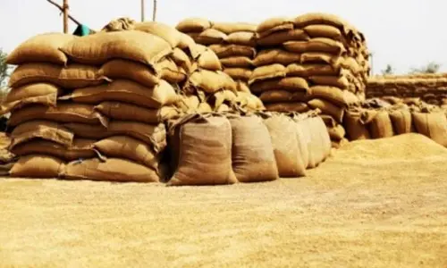 Centre pays Rs 62,156 crore to 21 lakh farmers for wheat at MSP in current season