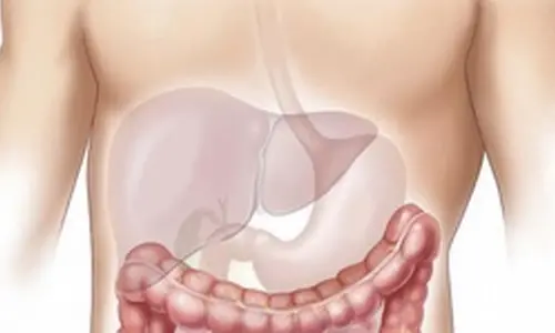 Diabetes drug can effectively treat fatty liver: Study