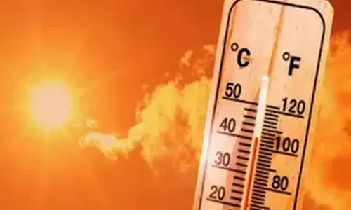 Coastal TN to face intense heat in May, temperatures may rise by 5 degrees Celsius