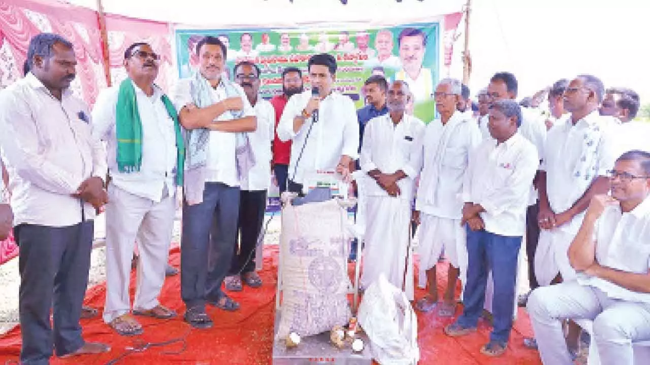 MLA Rajesh inaugurates paddy procurement centre MLA Rajesh inaugurates paddy procurement centre