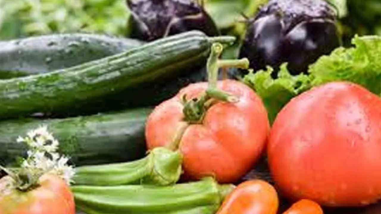 Best Vegetables to Grow in Your Summer Kitchen Garden