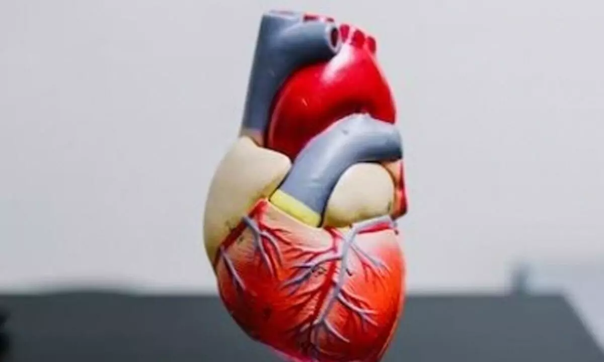 Unhealthy lifestyles may be ageing your heart too fast Unhealthy lifestyles may be ageing your heart too fast