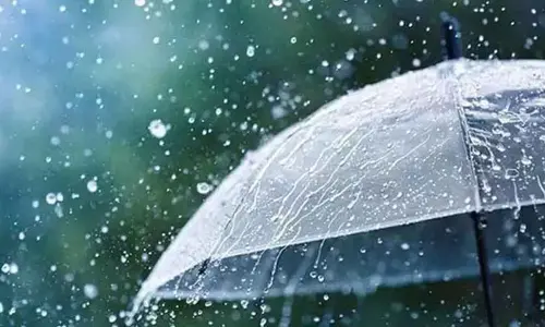APSDMA predicts rains in parts of Andhra Pradesh